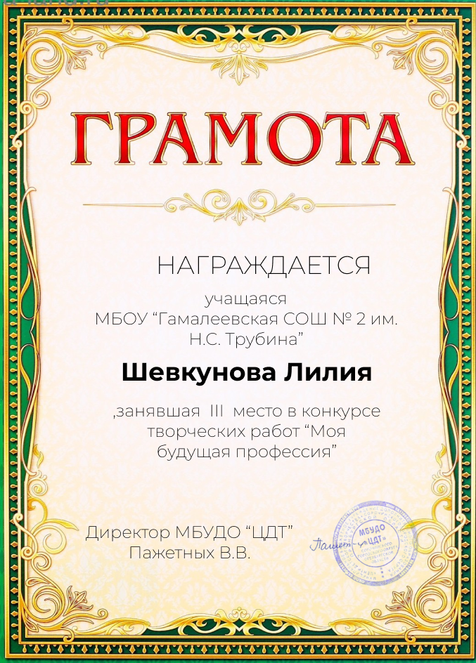 Муниципальный конкурс творческих работ &quot;Моя будущая профессия&quot;.