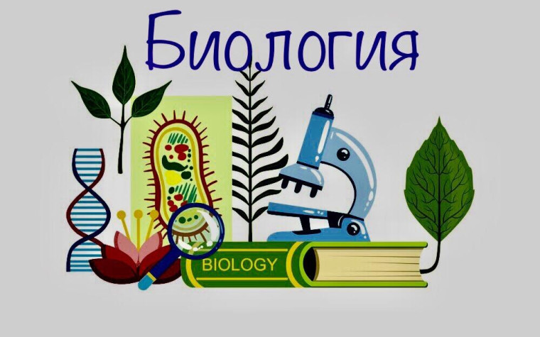 Урок биологии.